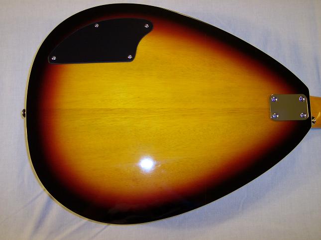Teardrop Hollow Body Picture 9